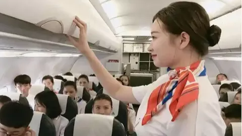 游客自驾撞到马群致6匹马死亡